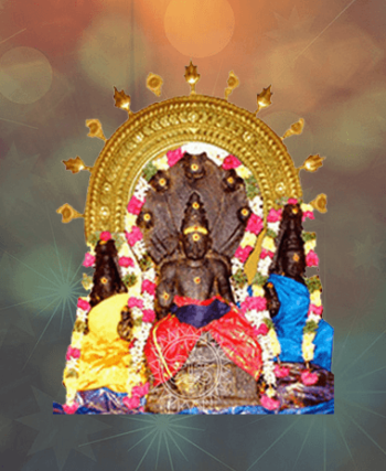 rahu homam