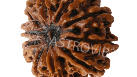 10-Face-Rudraksha