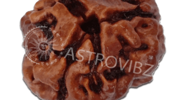 3-Face-Rudraksha