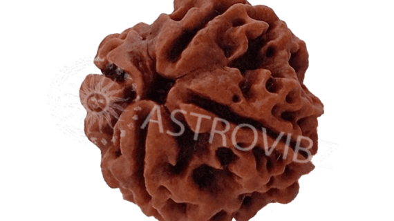 Energized 4-Face Rudraksha