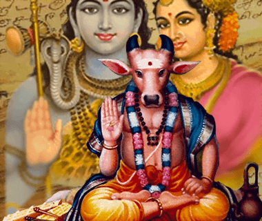 Nandi Nadi Reading with Remedies