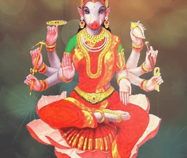 Varahi Siddhi Pooja Sponsorship