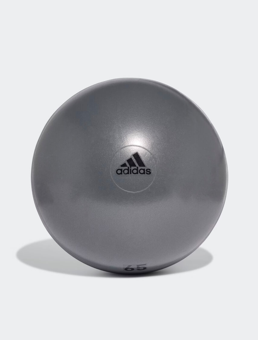 Performance Ankle Support