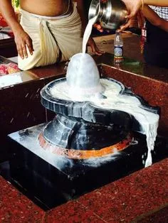Mahashivratri - 1Ltr Milk Offering for Abishekam